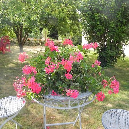Bed and Breakfast Les Patis Vouvray Esterno foto